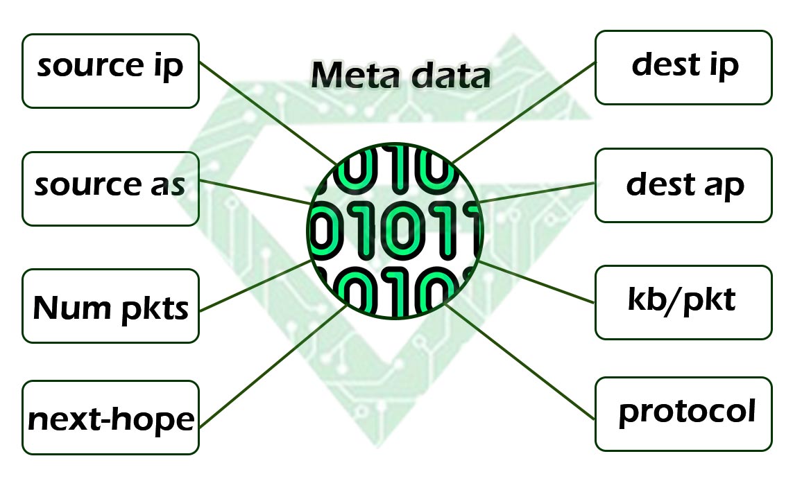 What is NetFlow protocol