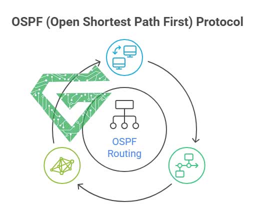 OSPF Protocol
