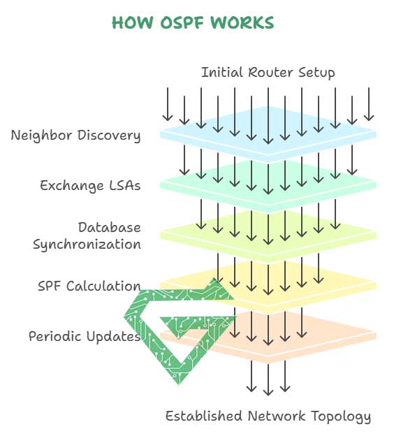 OSPF Protocol